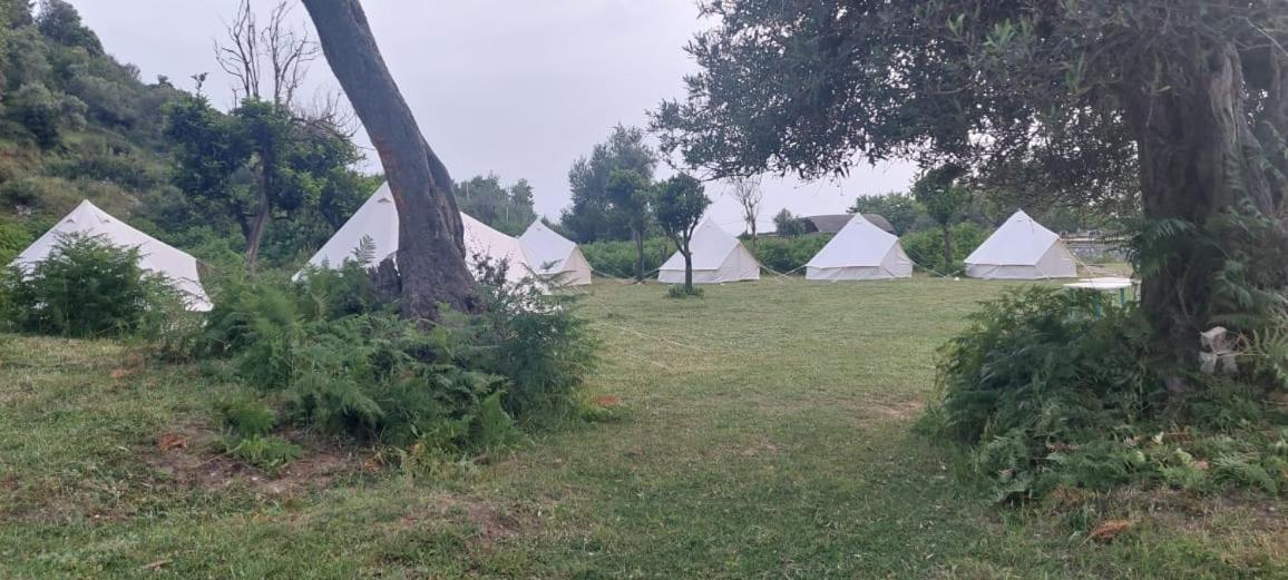 Riverside Bunec Camping Piqeras Екстериор снимка